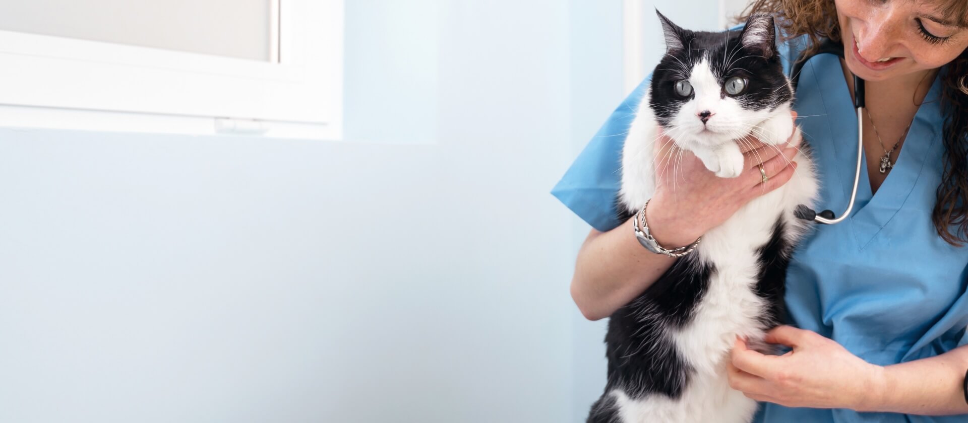 Boca Raton Veterinary clinic