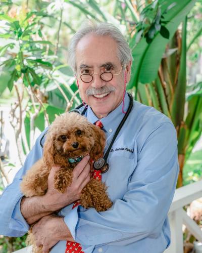 Dr. Andrew Turkell