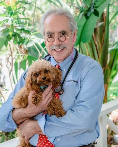 Dr. Andrew Turkell