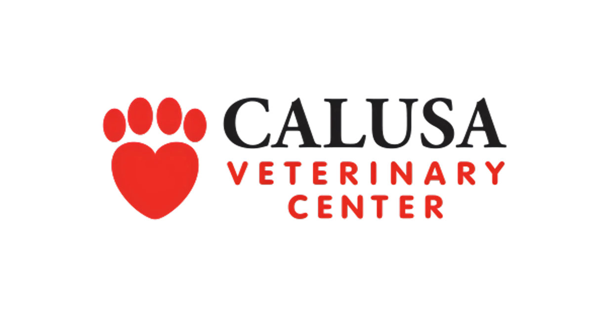 About Us | Calusa Veterinary Center