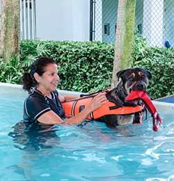 Pet Rehabilitation in Boca Raton, FL 