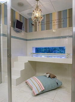 Pet Resort in Boca Raton, FL 
